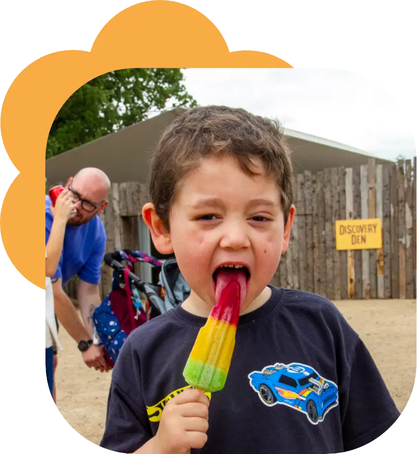 A young boy eating an ice lolly