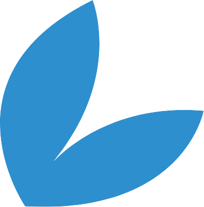 shape11